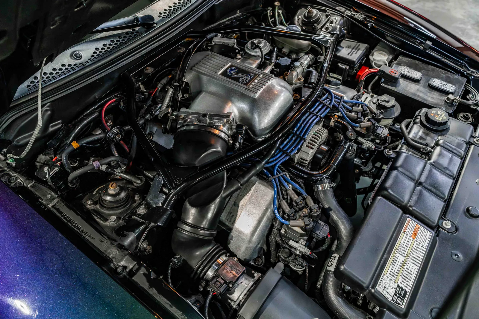 8_1996-Ford-SVT Cobra-Mystic-166131-44.jpg